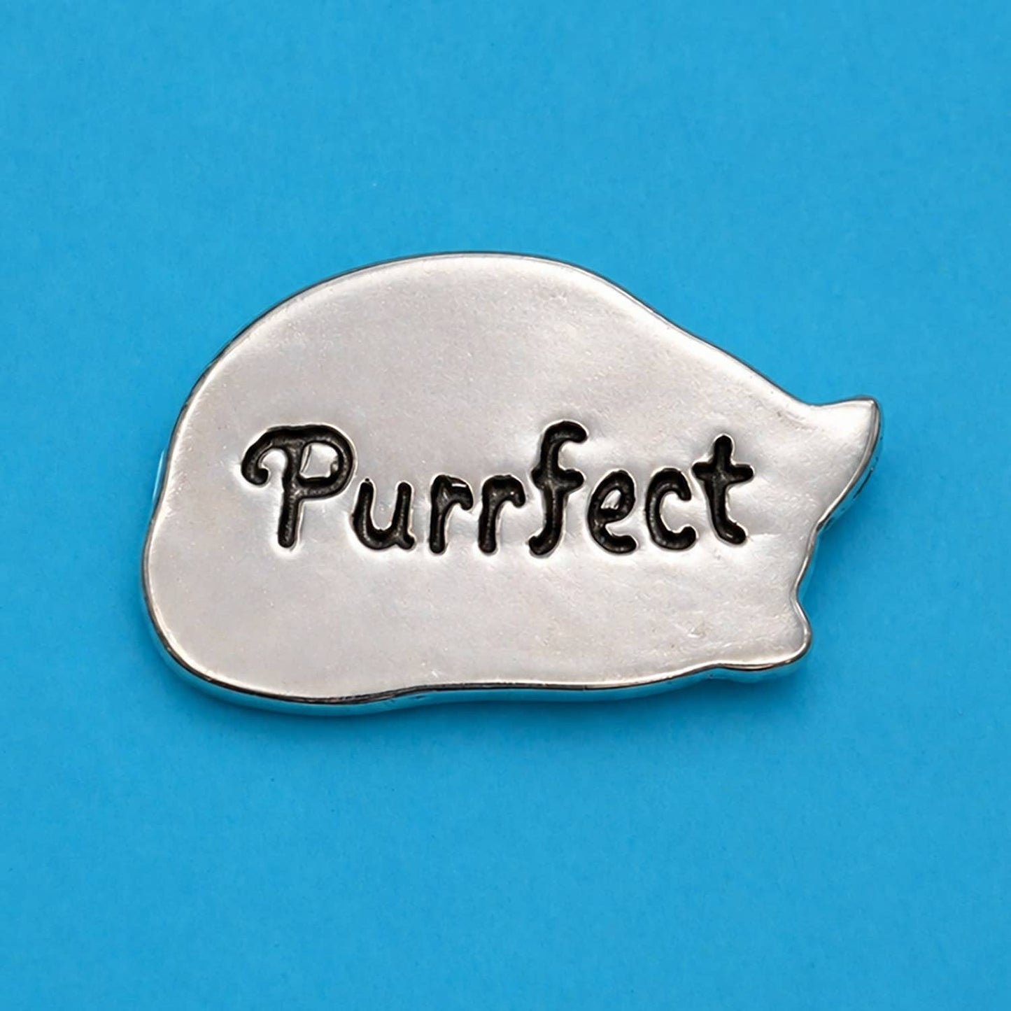 Cat Sleeping/Purrfect Coin