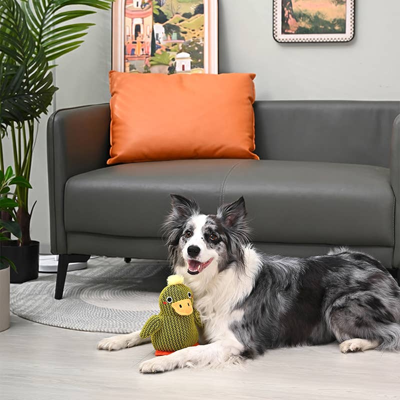 HugSmart Pet - Farm Friendz | Tuffy Duck - Dog Plush Toy