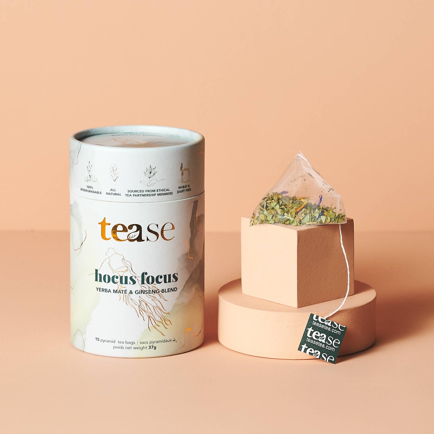 Hocus Focus Adaptogen Ginseng + Ginkgo Superfood Tea Blend