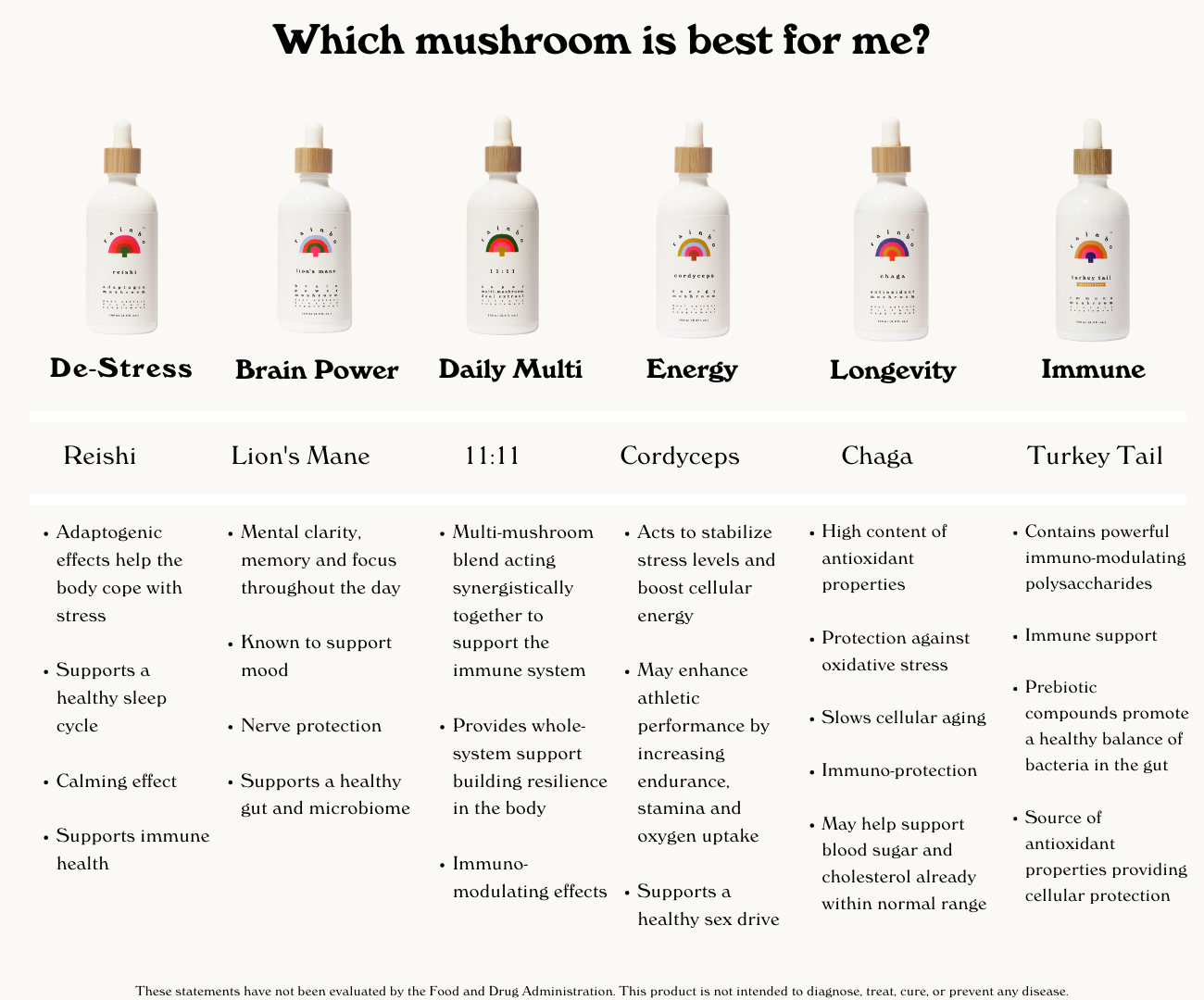 Rainbo 11:11 Super Multi-Mushroom Tincture