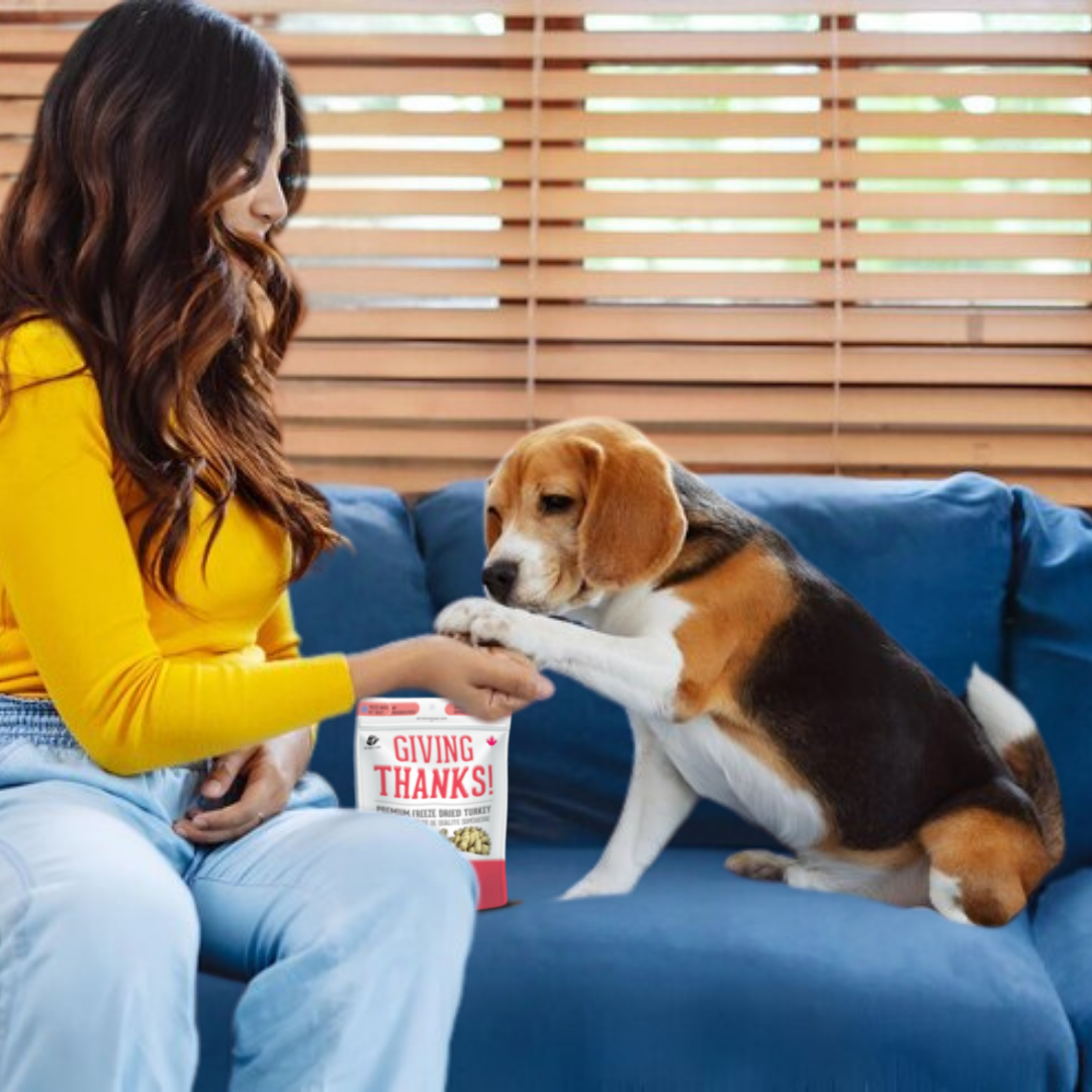 Turkey Freeze-Dried Pet Treats: High-Protein & Nutritious