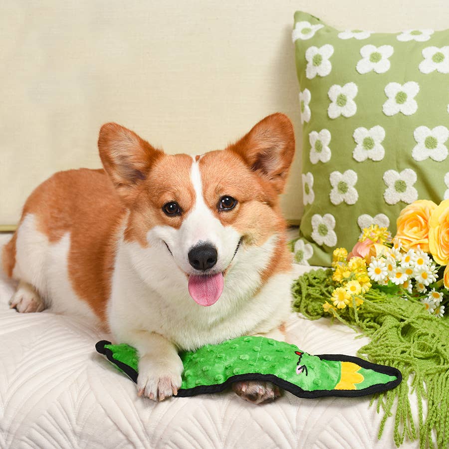 HugSmart Pet - Squeakin’ Vegetables | Pickle - Dog Plush Toy