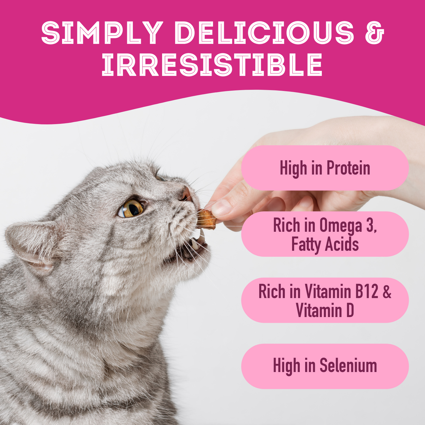 Freeze Dried Wild Salmon Treat For Dogs 50g