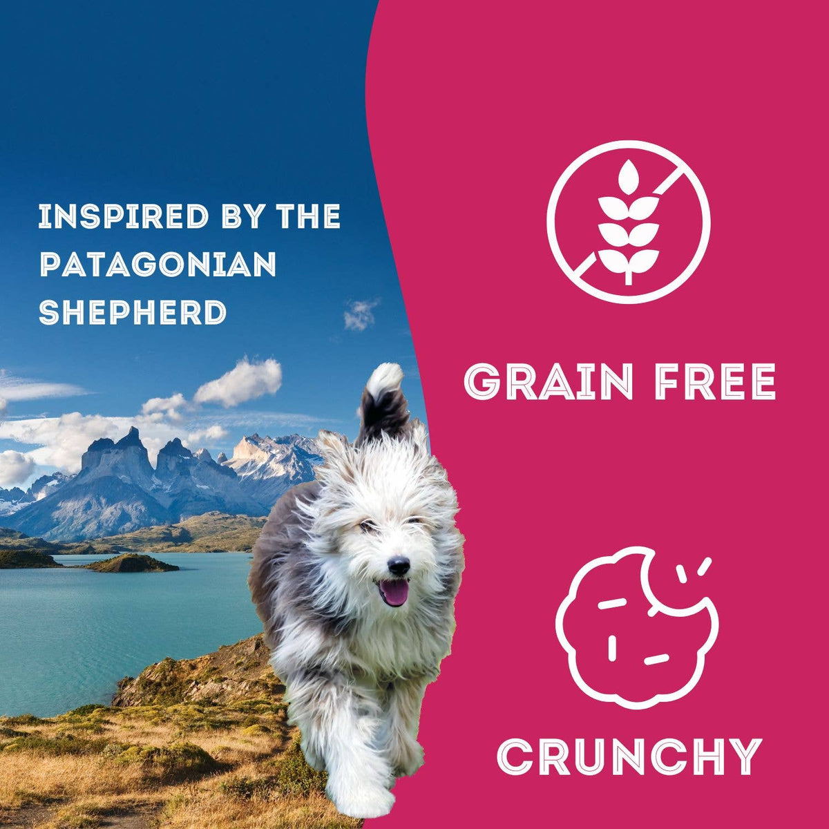 Dog Biscuits Grain Free Creamy Cremes Raspberry Patagonia