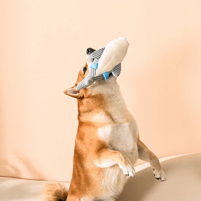 HugSmart Pet - Ocean Pals | Shark - Dog Plush Toy