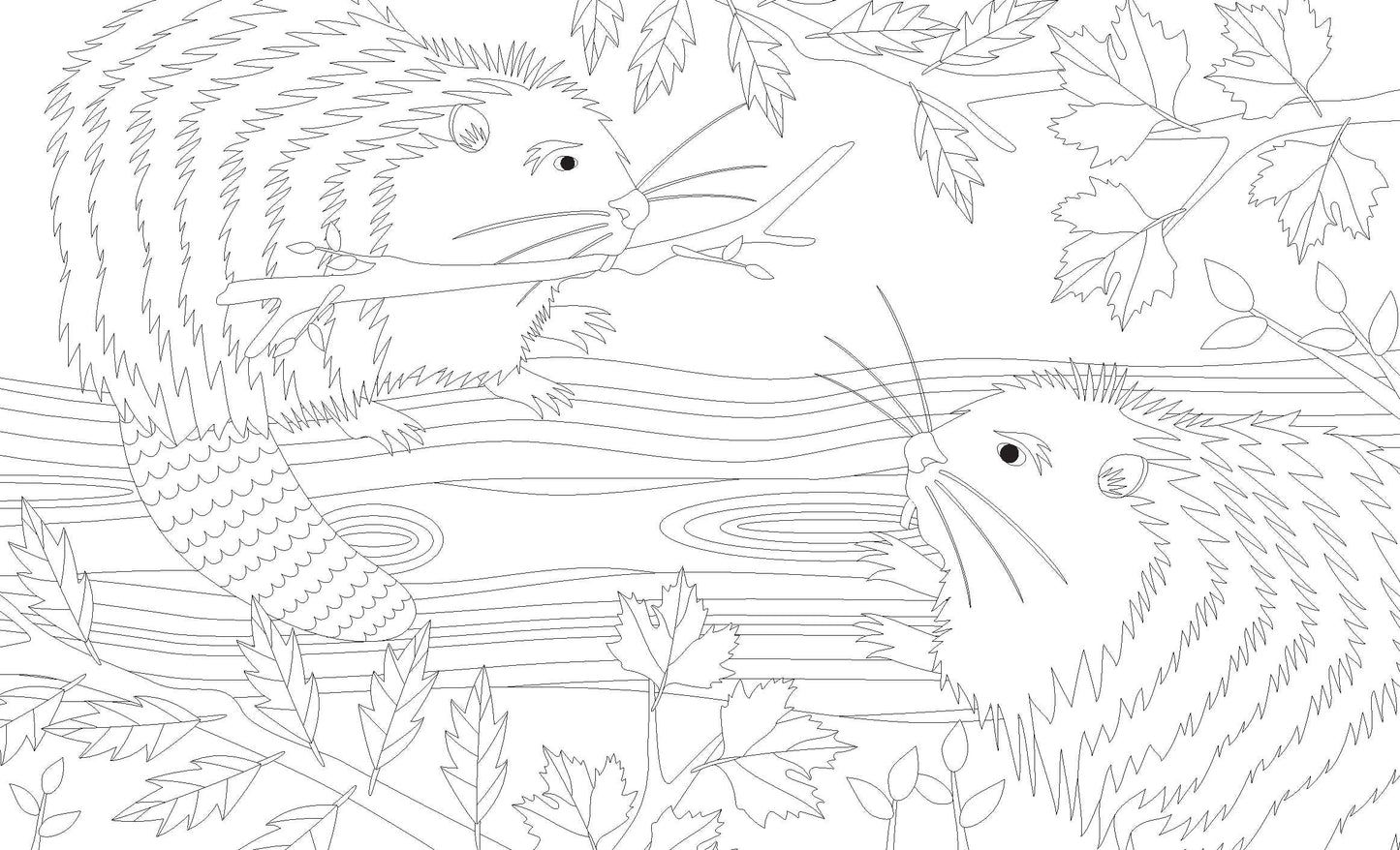 Joy of Mindfulness Coloring