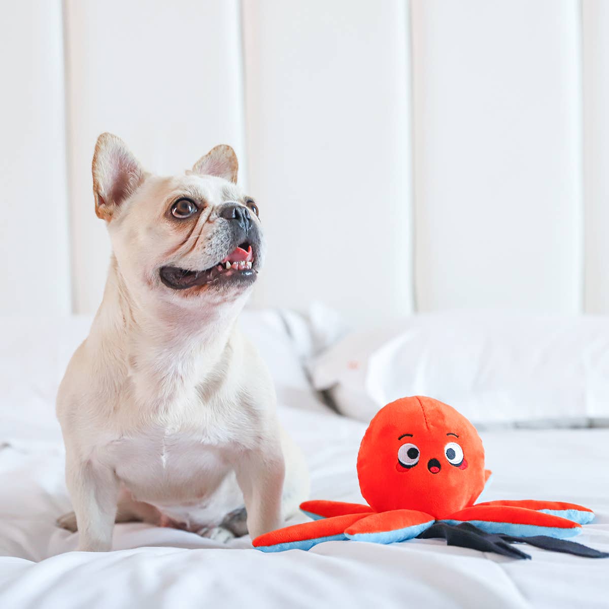 HugSmart Pet - Ocean Pals | Octopus - Dog Plush Toy