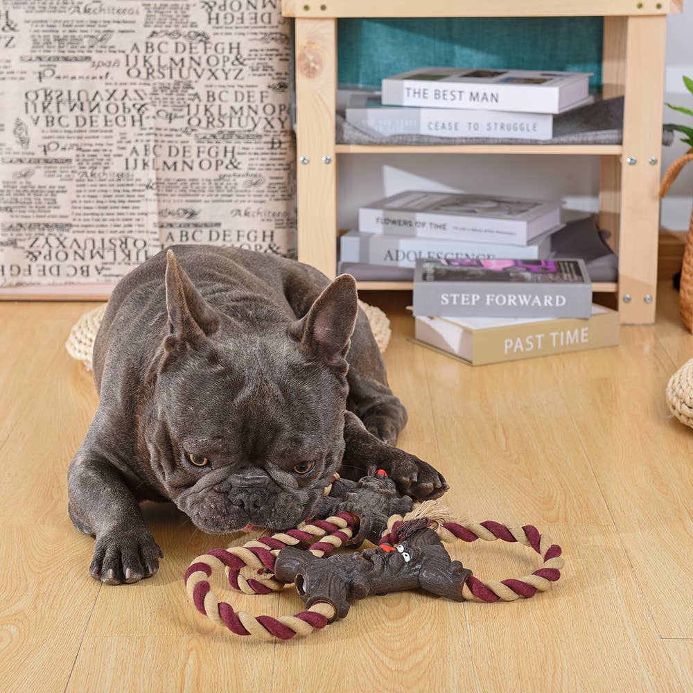 HugSmart Pet - Rope Monster | Betty - Dog Rope Toy