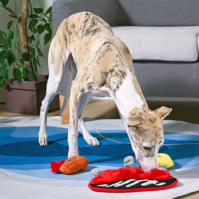 OrilandPet - Beach Daze | BBQ Grill - Dog Plush Toy