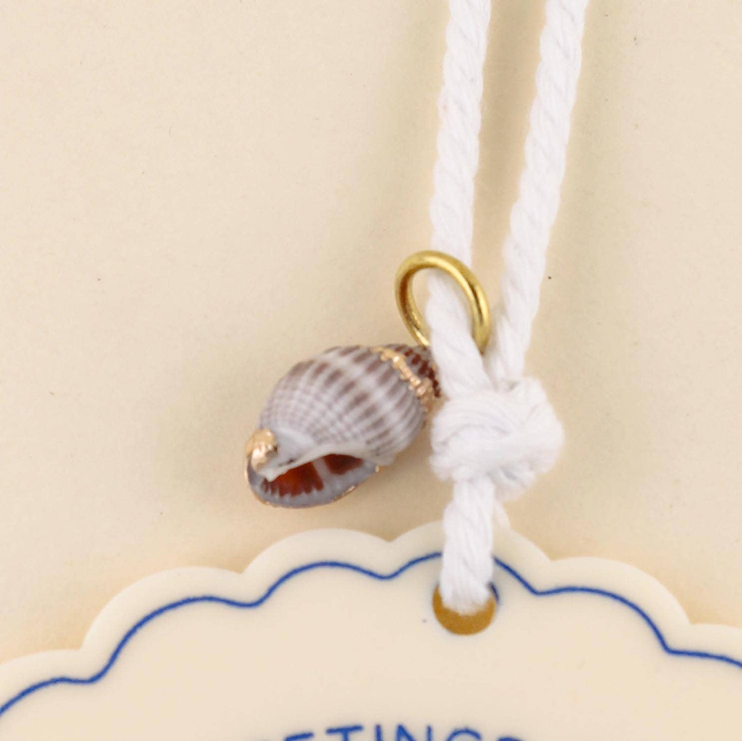 Greetings from Seashell Charm Ornament