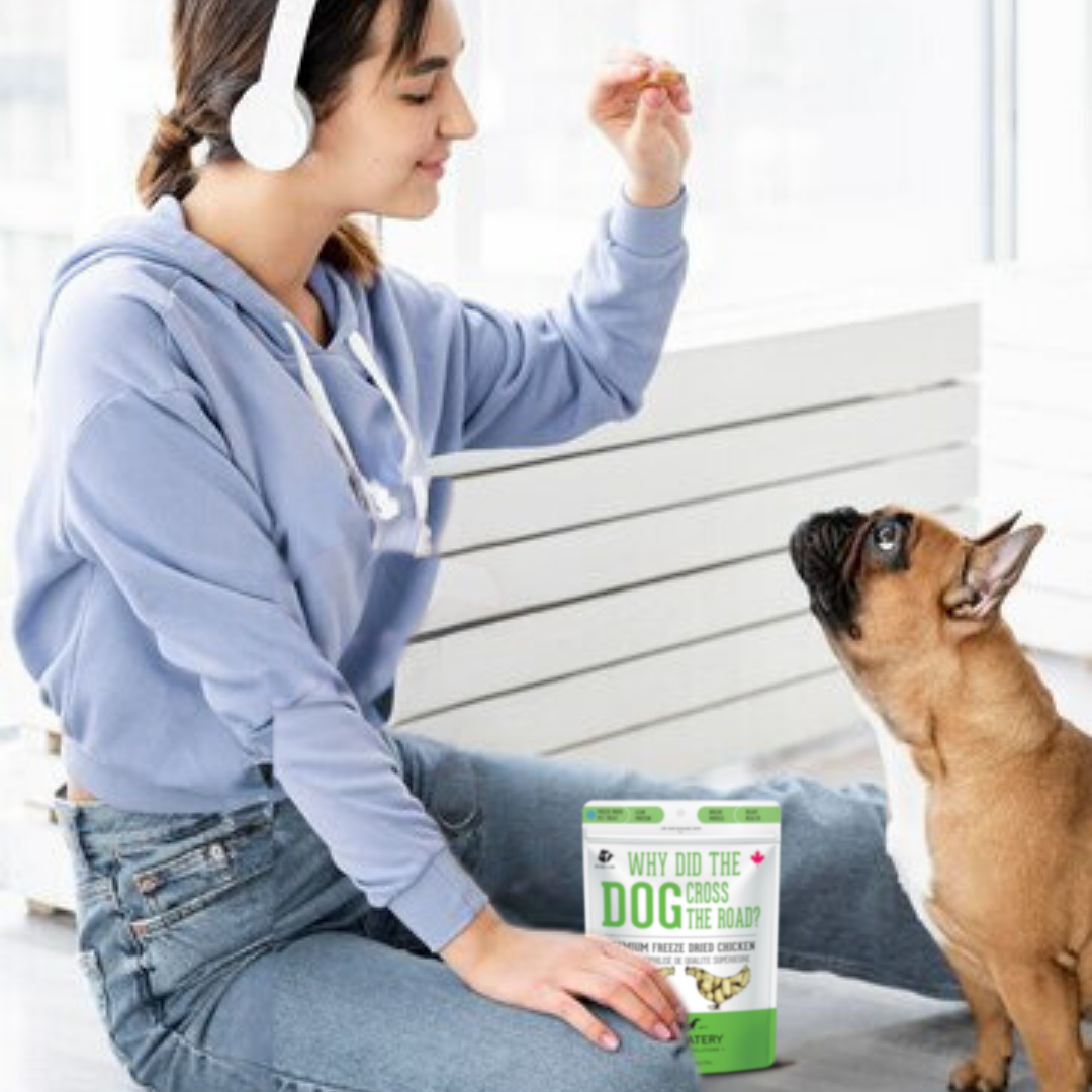 Chicken Freeze-Dried Pet Treats: Protein & Nutrient Rich