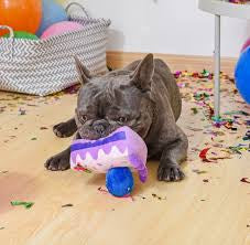 HugSmart Pet - Blueberry Cake
