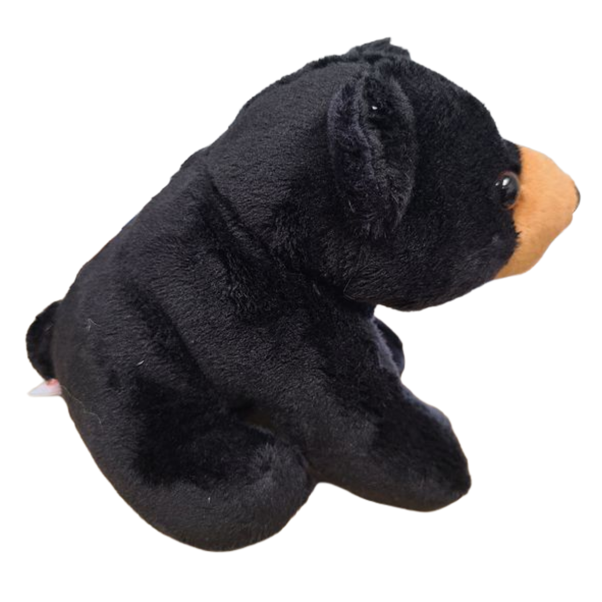 Russ the Canned Black Bear | Stuffed Zoo Plush w/Jokes |Gift