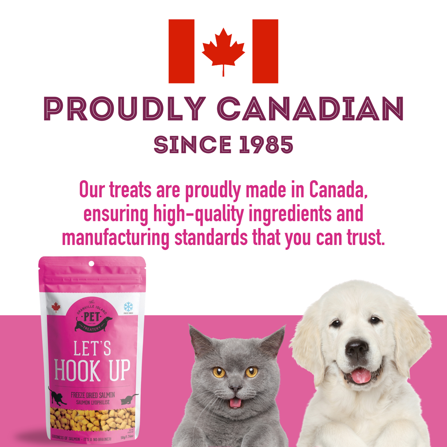 Freeze Dried Wild Salmon Treat For Dogs 50g