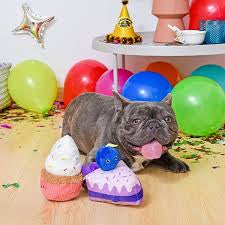 HugSmart Pet - Blueberry Cake
