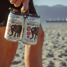 Strange Fellows Pale Ale 4 Pack