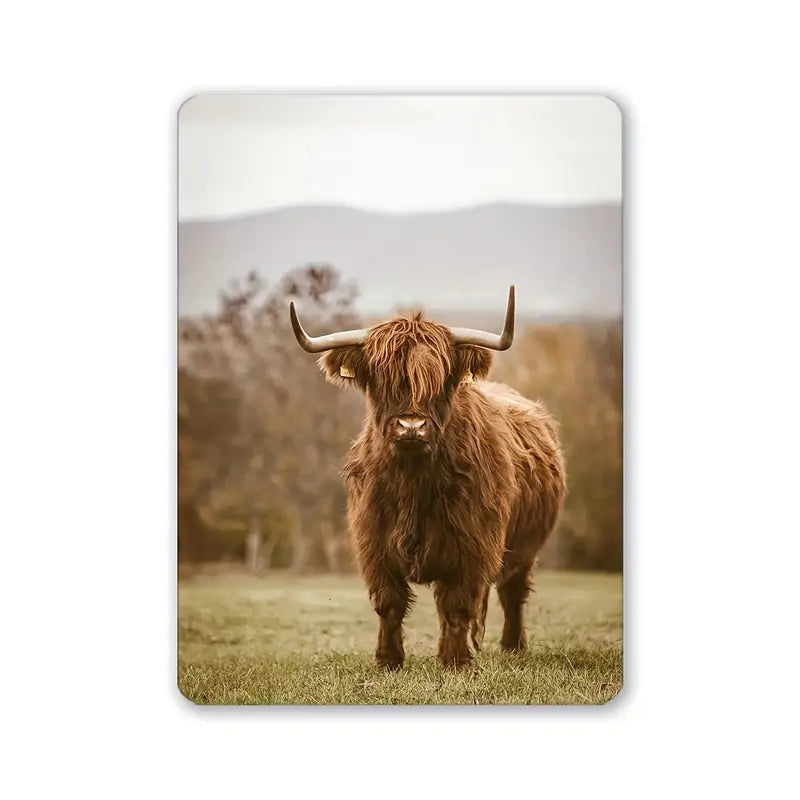 Fridge Magnet Assorted