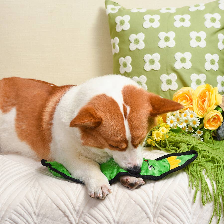 HugSmart Pet - Squeakin’ Vegetables | Pickle - Dog Plush Toy