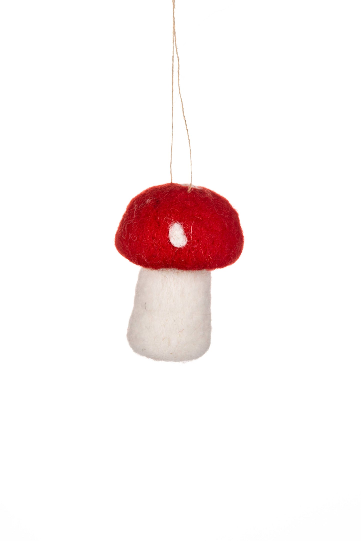 Single Toadstool
