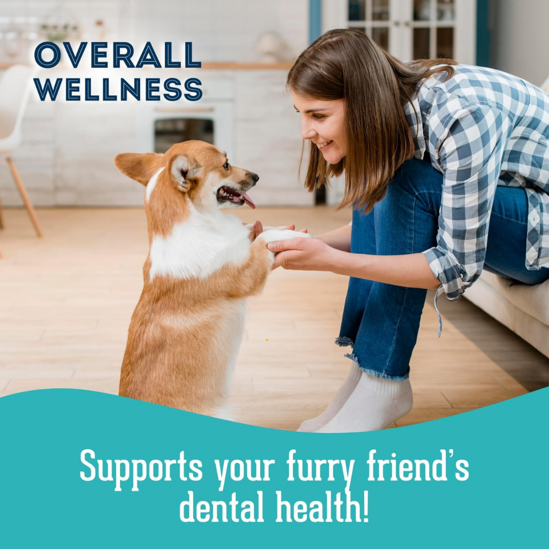 Dog Supplements- Oral Health Supplement Dog Herbal Bites