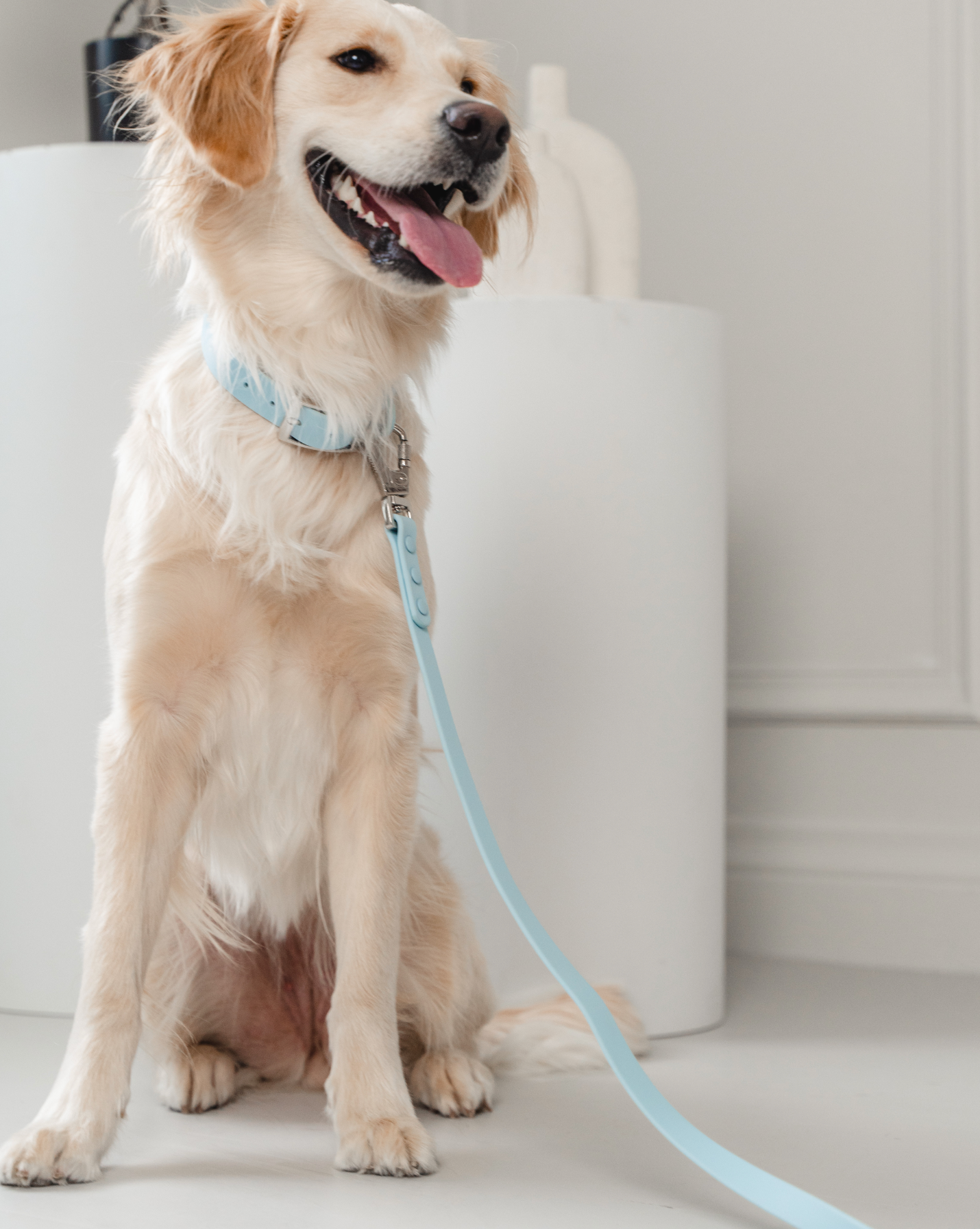 Waterproof Dog Collar in Sky Blue