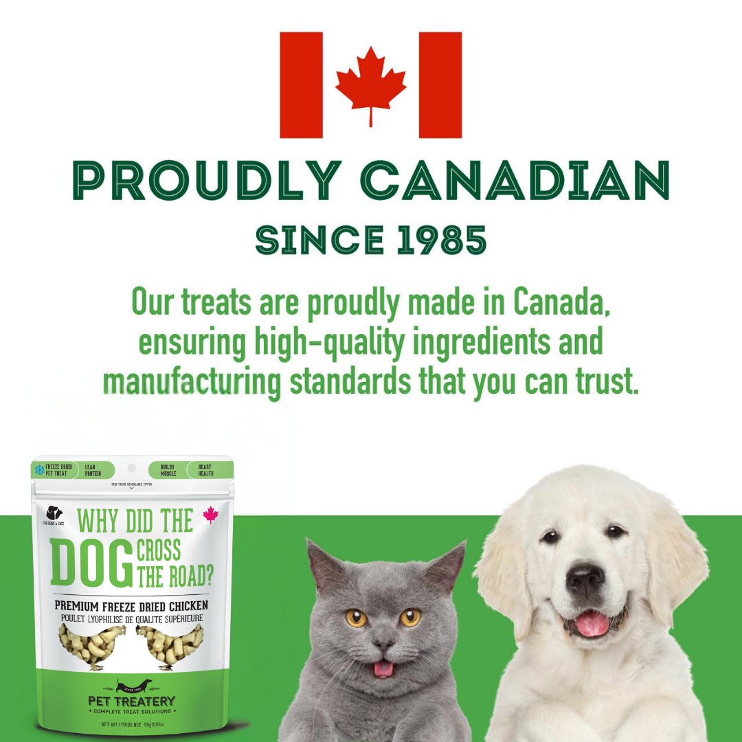 Chicken Freeze-Dried Pet Treats: Protein & Nutrient Rich