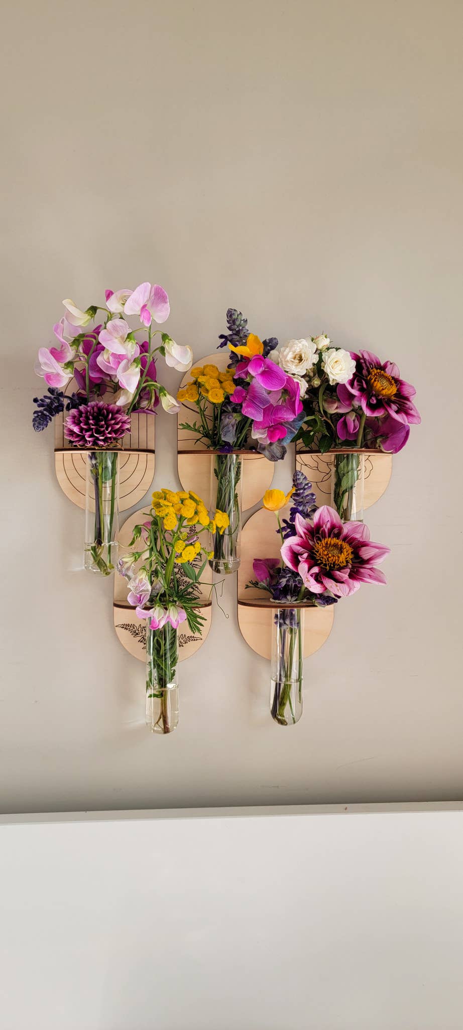 Bellamy Home Studio - Propagation Wall Holder - Mountain Range