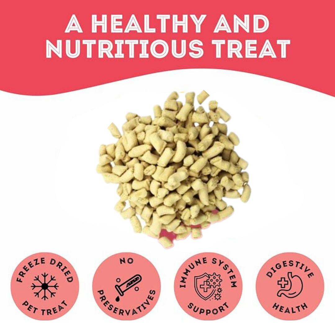Turkey Freeze-Dried Pet Treats: High-Protein & Nutritious
