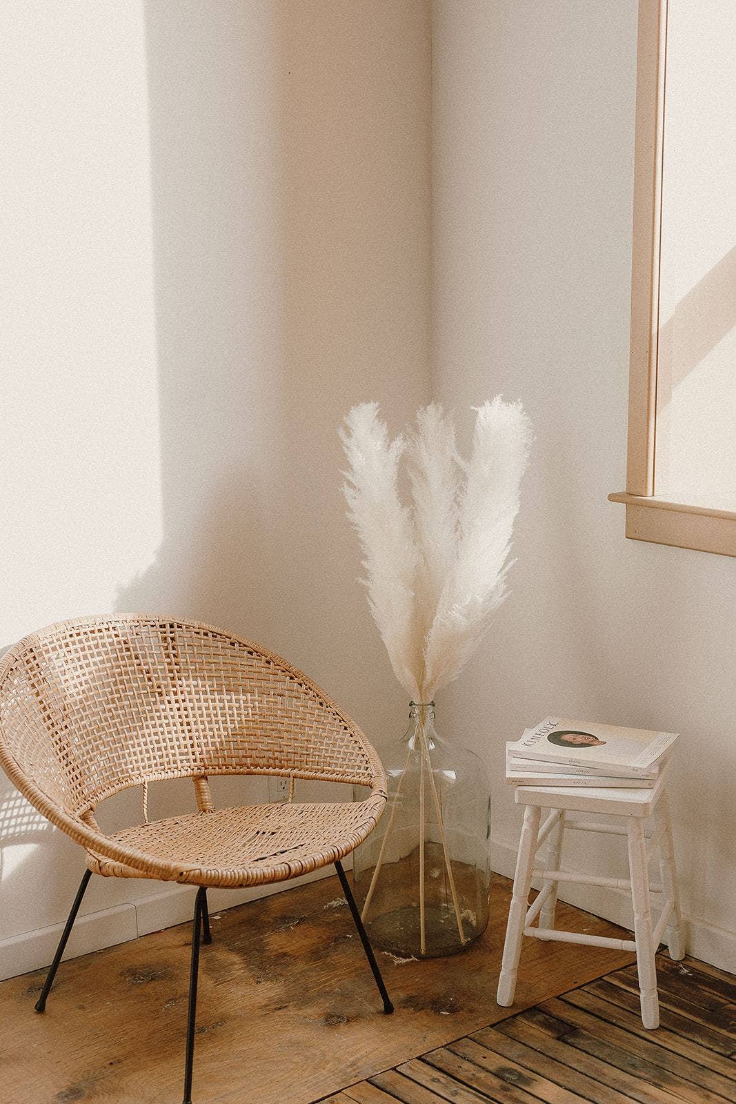 Sun Bleached White Pampas Grass