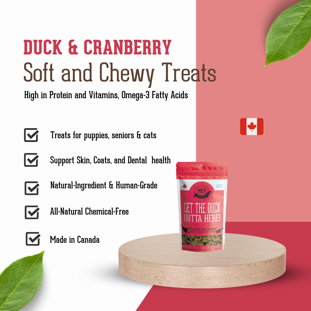Soft & Chewy Duck & Cranberry Treat For Dogs & Cats 175g