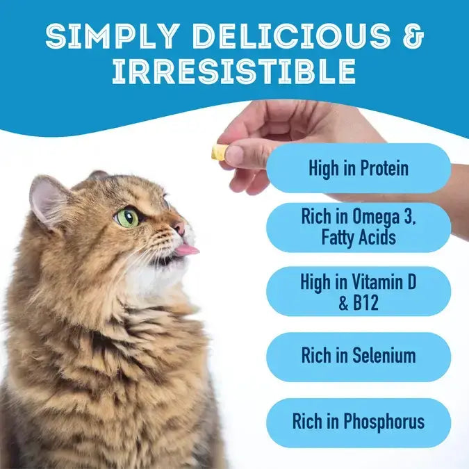 Fish & Noooo Chips: Cod Skin Dehydrated Pet Treats: High-Protein & Low-Calorie