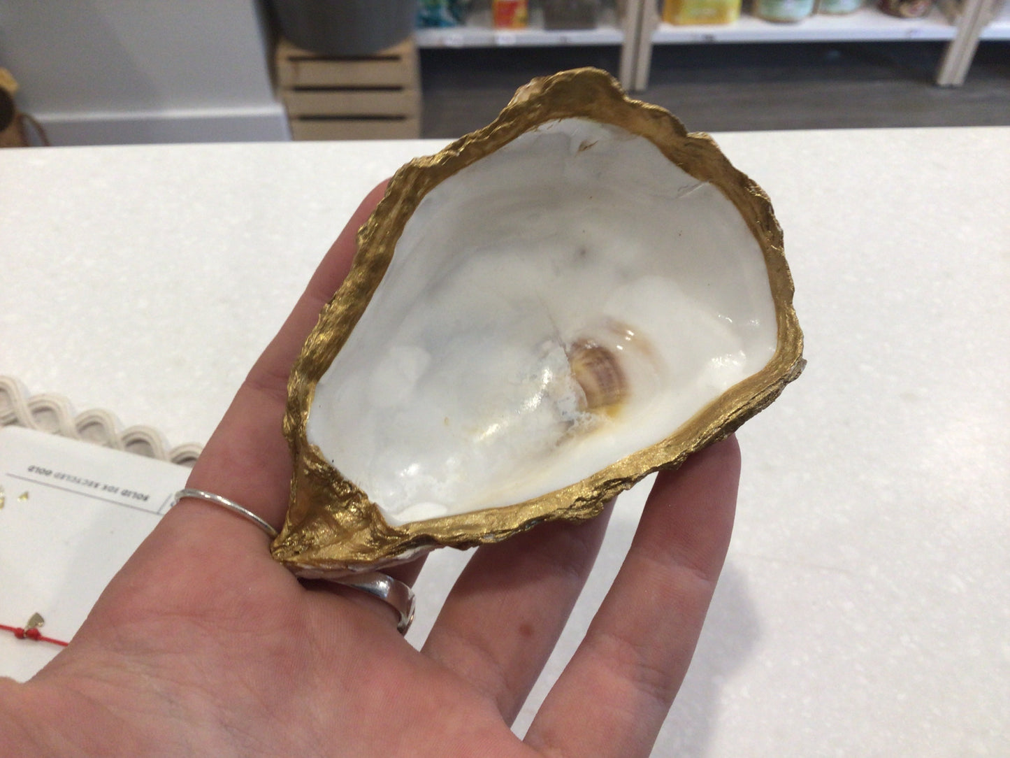 Oyster shell small dish