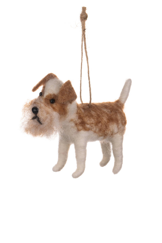 Bearded Dog