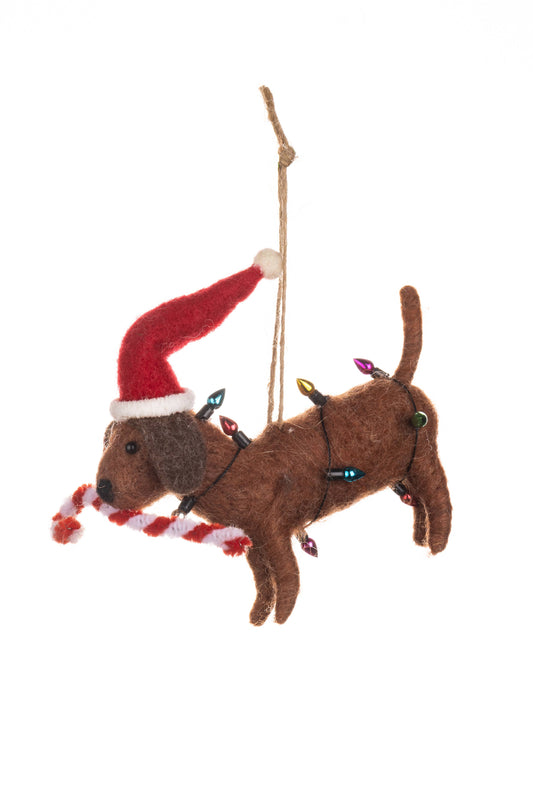 Candy Cane Dog In Lights