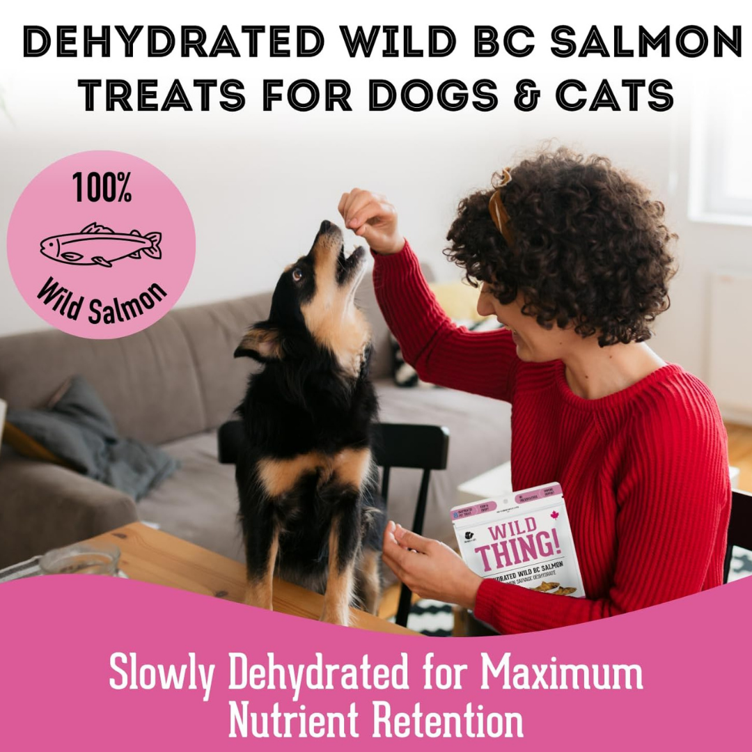 Wild Salmon Dehydrated Pet Treats: Omega-3 & High-Protein