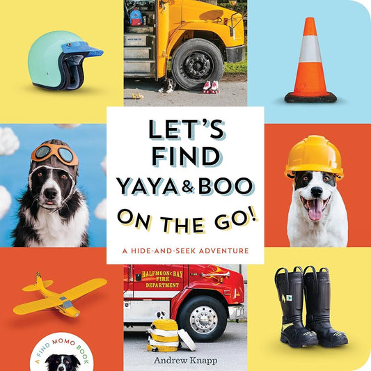 Let’s Find Yaya & Boo On The Go Andrew Knapp