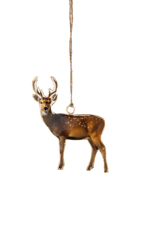 Stag - Hanging