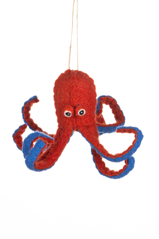 Baby Octopus