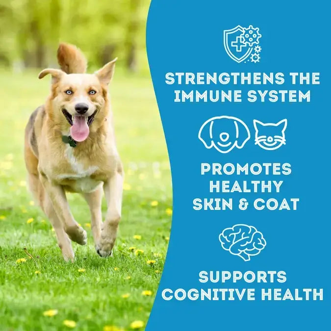 Fish & Noooo Chips: Cod Skin Dehydrated Pet Treats: High-Protein & Low-Calorie