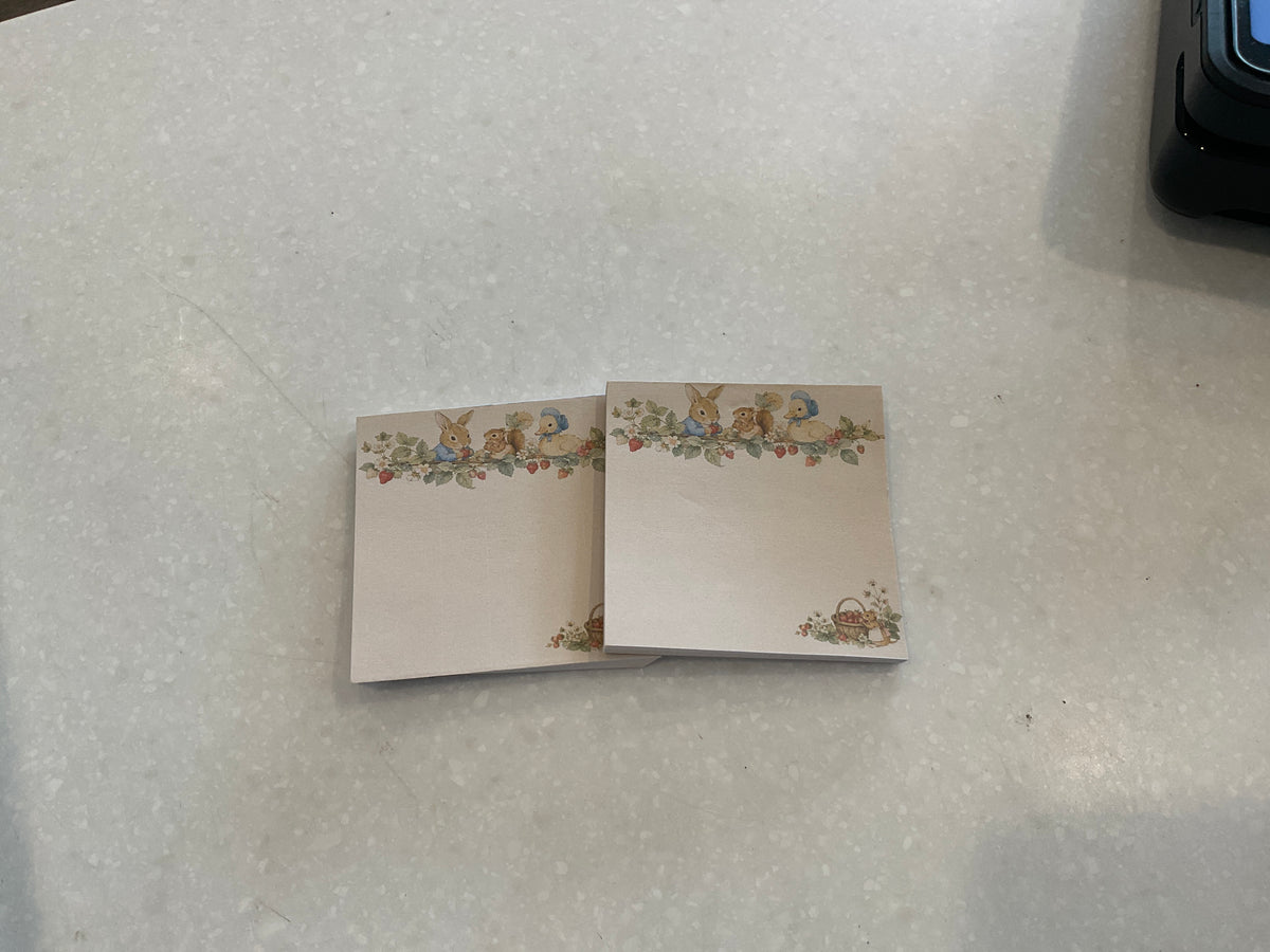 Peter Rabbit Mini Notepad