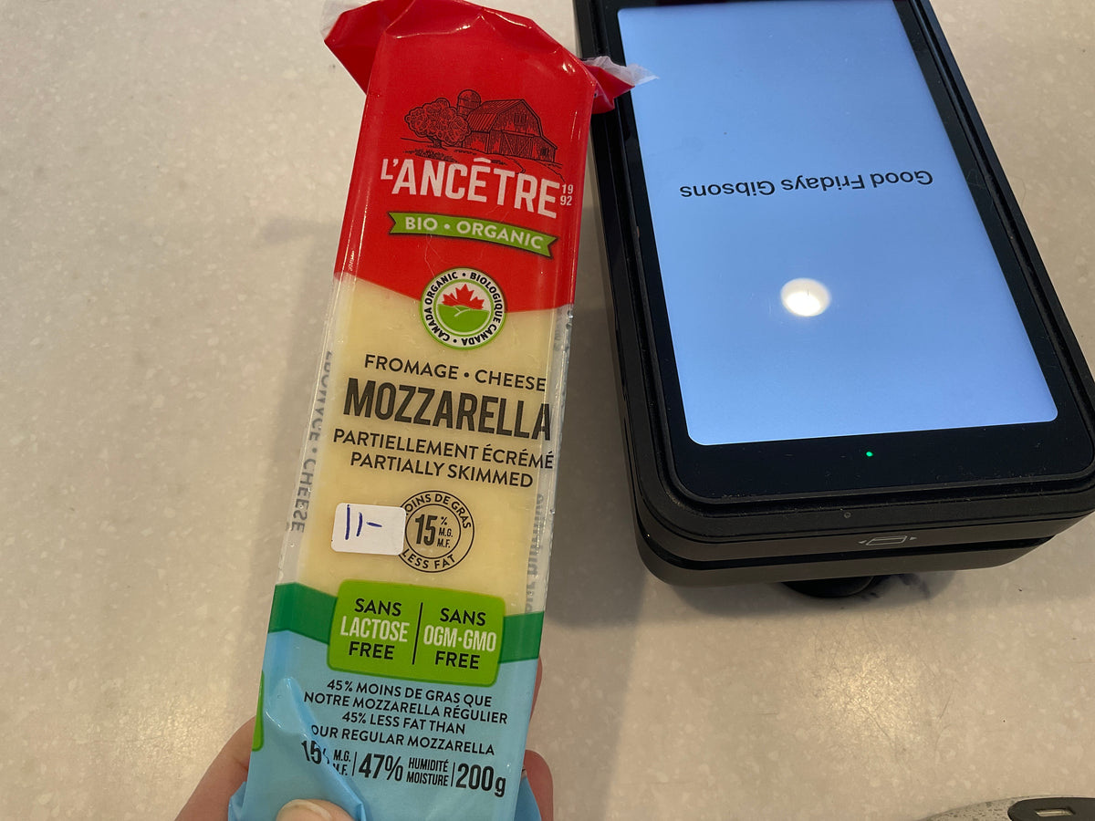 L’ancêtre Mozzarella