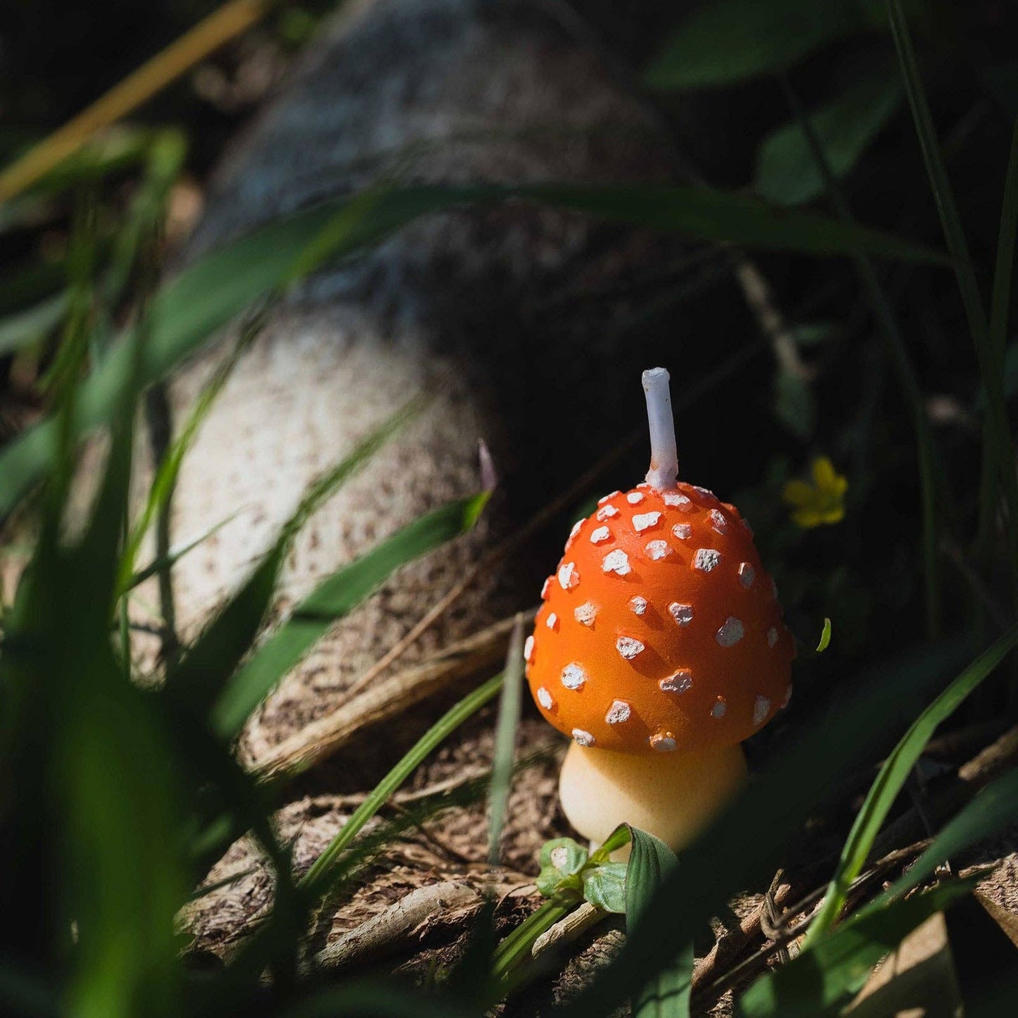 Southlake Gifts - Mini Mushroom Candle Set
