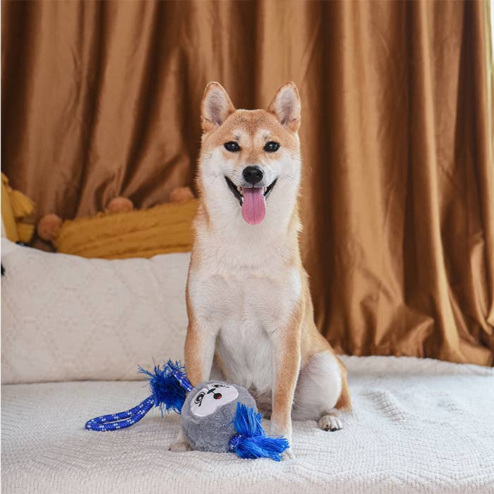 HugSmart Pet - Fluffy Tuggerz | Sea Lion - Dog Rope Toy