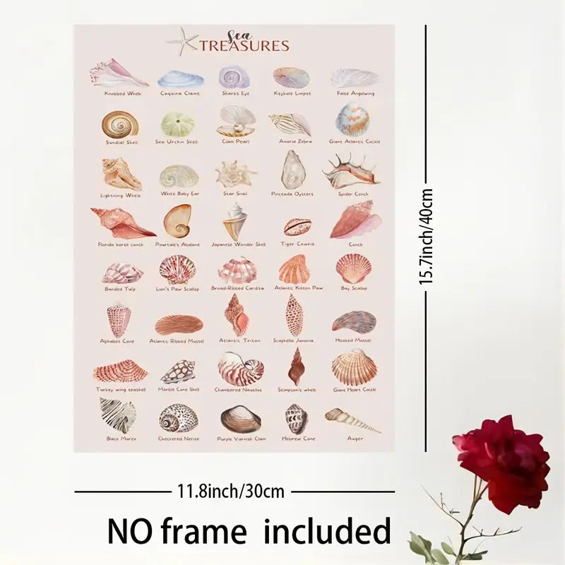 Seashell Treasures Of The Ocean Wall Art Canvas