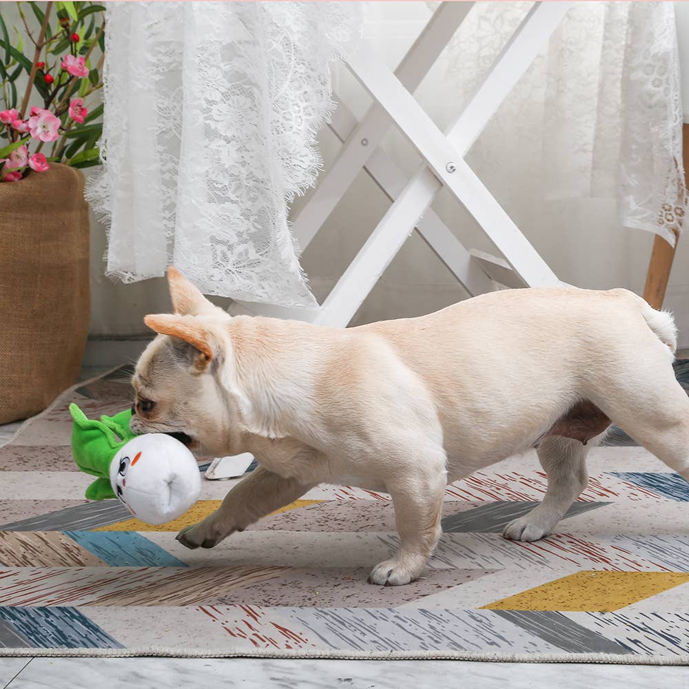 HugSmart Pet - Feisty Veggie | Bok-Choy - Dog Plush Toy