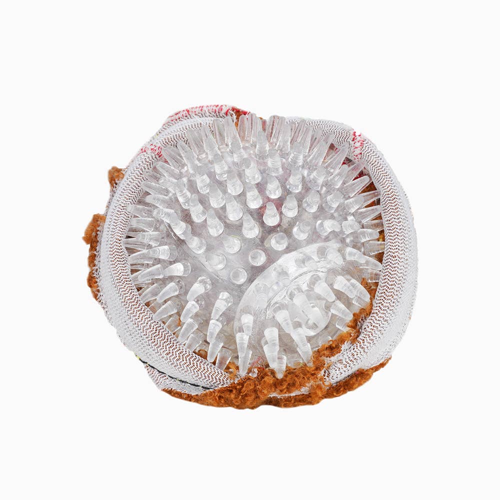 HugSmart Pet - Food Party | Spaghetti Meatball - Ball Toy