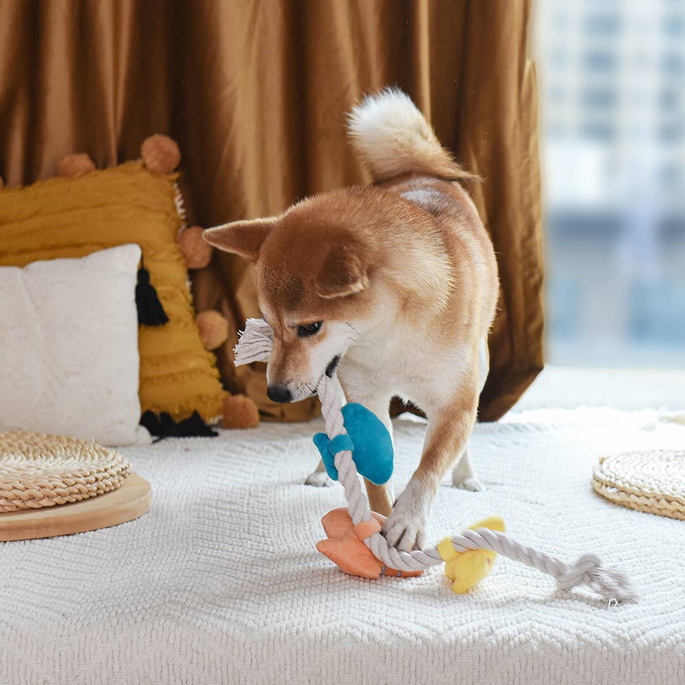 HugSmart Pet - Pirate Pups    | Shell Necklace - Rope Toy