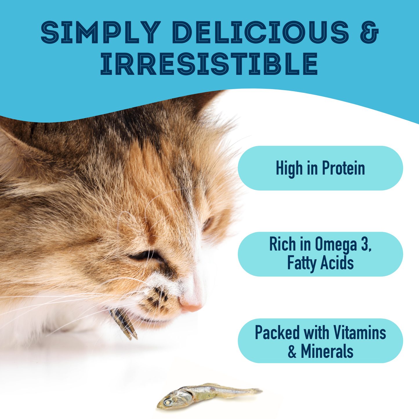 Dehydrated Sardines Treat For Cats & Dogs 50G