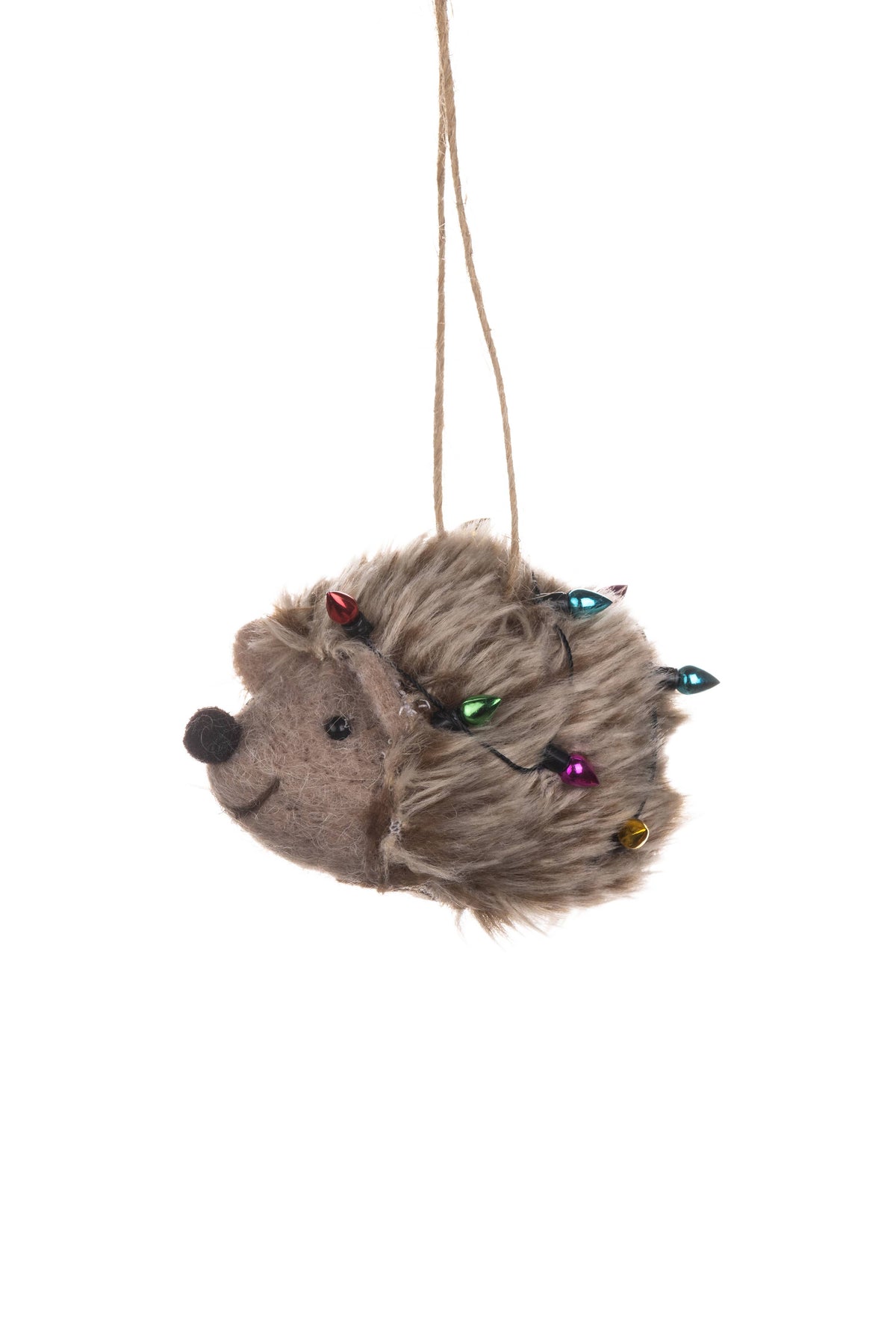 Hedgehog In Lights