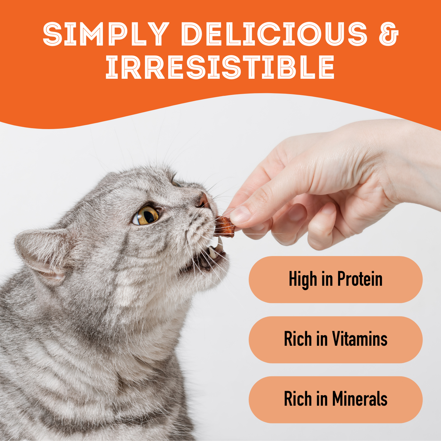 Pumpkin Dehydrated Pet Treat for Dogs & Cats Vegan 80g